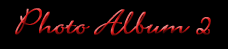 photo2.gif (3187 bytes)