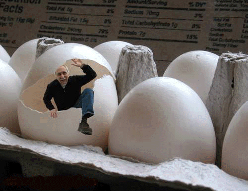 man-on-eggs