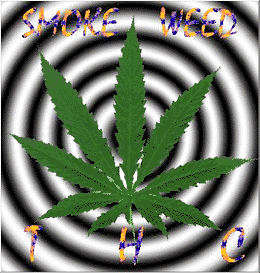 Contact Hempjeet and/or Sobetoke