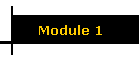 Module 1