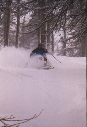 Arnt - skovskilb Serre Che
