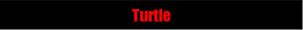 Turtle