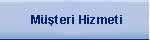 Msteri Hizmeti