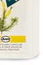 Tea Tree