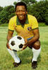 Pele