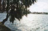 Malleco