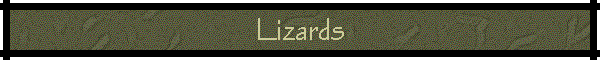 Lizards