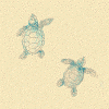 turtle-backgrnd.gif (16907 bytes)
