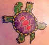 turtle_1.jpg (9036 bytes)