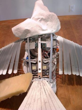 done, wings open