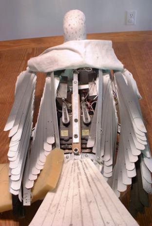 done, wings closed