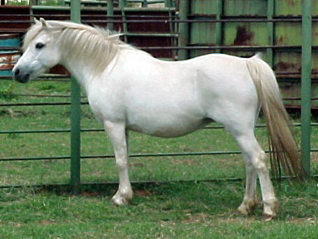 Mary Angelina