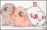 Treen's Pigs