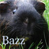 Bazz