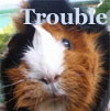 Trouble