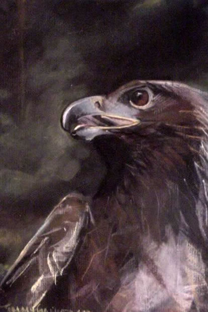 eagle