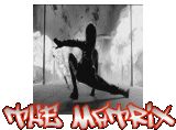 -< The Matrix >-