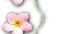 Flowerset