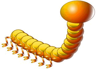 caterpillar tutorial
