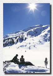 Sun in the winter