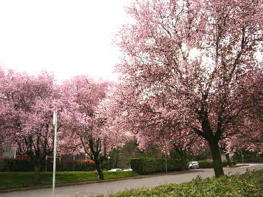 corner