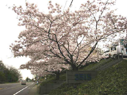 corner