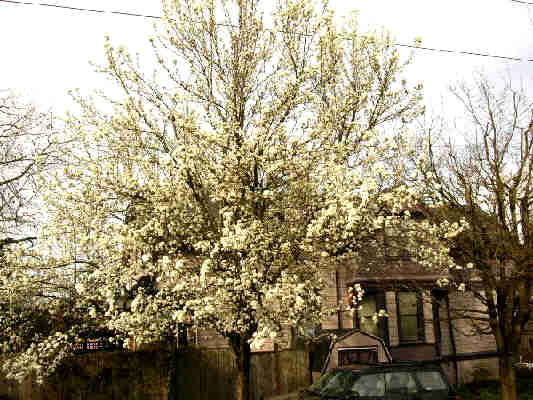 corner