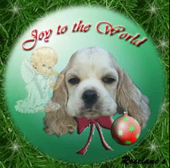Happy Holidays