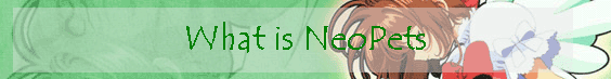 What is NeoPets