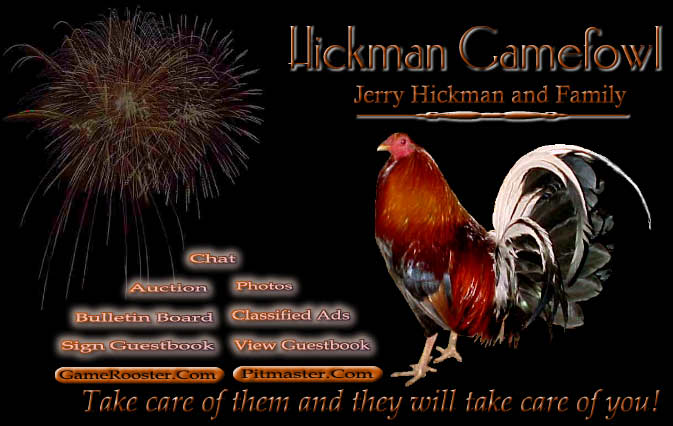 Hickman Gamefowl