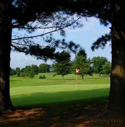 Nine Green