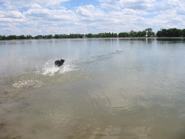 Abbey Swimming Photo