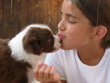 Erin & Pup