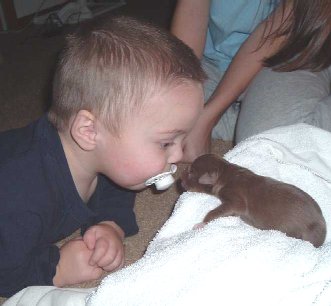 Jessie meets puppy