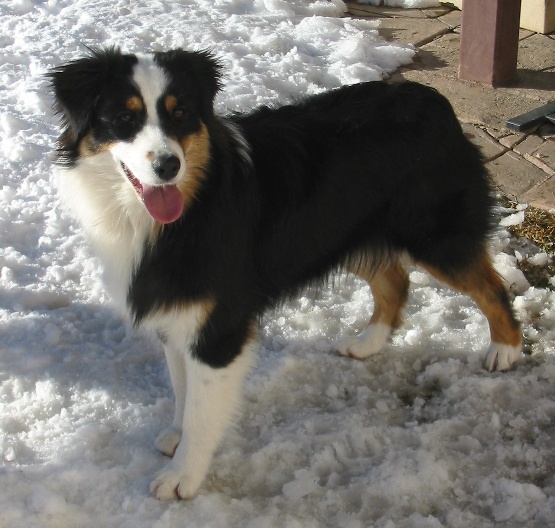 Feb 2007 Photo