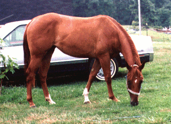 Docs Especial Lena at 2 yrs