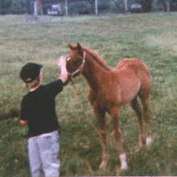 Foal**Colonel Scamp Bar X Dry Baby Sue