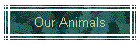 Our Animals