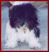 Hidden Treasures Cosmo