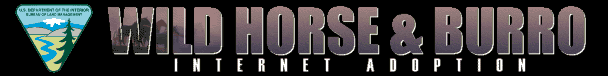 Bureau of Land Management Wild Horse and Burro Internet Adoption