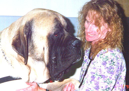 therapy_mastiff.jpg (55002 bytes)