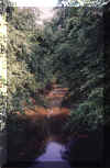 HieattCreek.jpg (89827 bytes)