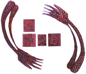 insects