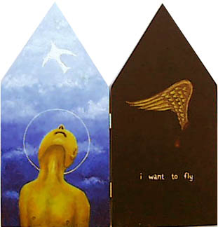 i want to fly
