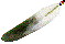 feather