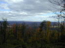 Looking through the clearing with almost unlimited visibility