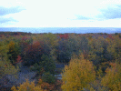 A view from the tower