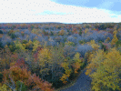 A view from the tower