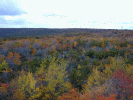 A view from the tower