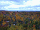 A view from the tower